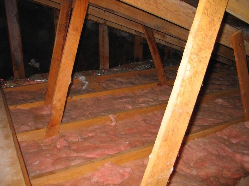 Bat Removal & Exclusion in Green Bay